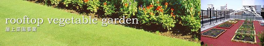屋上菜園事業