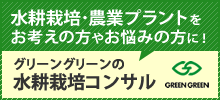 水耕栽培・家庭菜園はお任せ!エコゲリラウェブショップ 水耕栽培コンサルティング