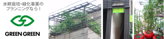 水耕栽培のグリーン・グリーン福岡