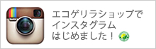 エコゲリラのインスタグラム エコゲリラのインスタグラム