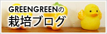 スタッフの栽培ブログ スタッフの栽培ブログ