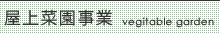 屋上菜園事業