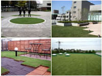 屋上緑化施工手順