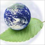 屋上菜園・屋上緑化-CO2削減