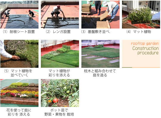 マット植物の施工 マット植物