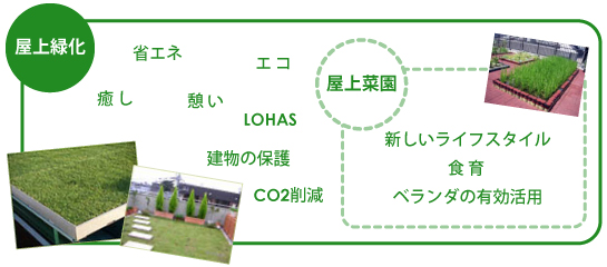 屋上緑化と屋上菜園の図