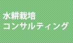 水耕栽培コンサルティング